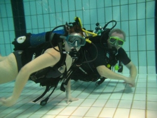  自己潜水节奏 - 999 - 来他们的陪伴下放松一下